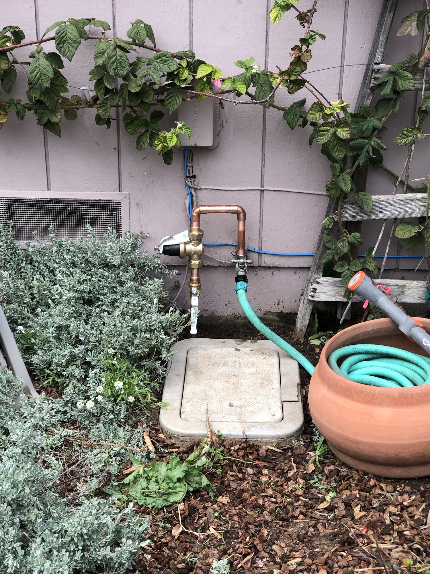 Technician repairing a trenchless sewer line in a residential yard in Santa Cruz County, California.